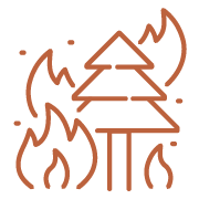 wildfire icon