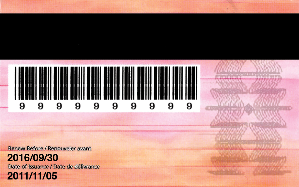 Image du recto d'un certificat de statut d'Indien (CSI)